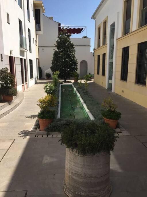 Espectacular Duplex Altos De Santa Ana Apartment *